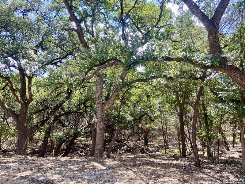 Image 14 of a home in . Image 14 of a home in .