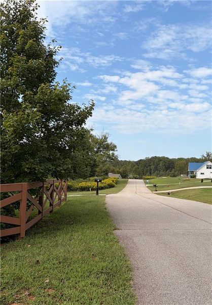 Natural landscape and outdoor views near  in Demorest (Image 28).
