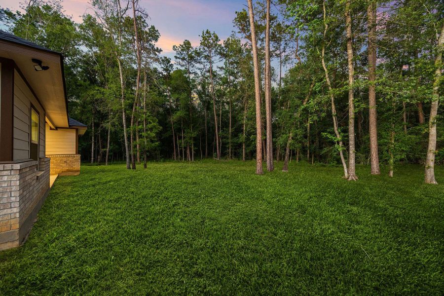 A serene backyard with a lush, grassy lawn and a backdrop of tall, mature trees, offering a peaceful and private setting next to the house.