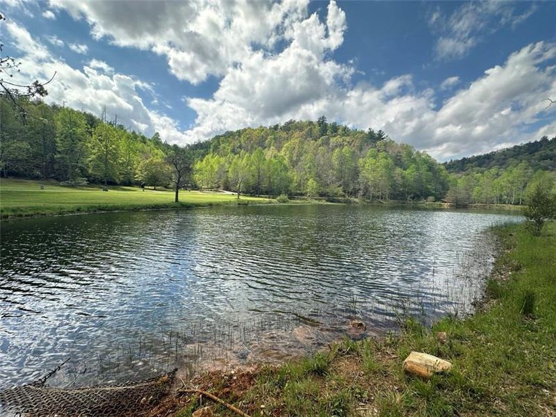 Natural landscape and outdoor views near in Clarkesville (Image 46). Natural landscape and outdoor views near in Clarkesville (Image 46).