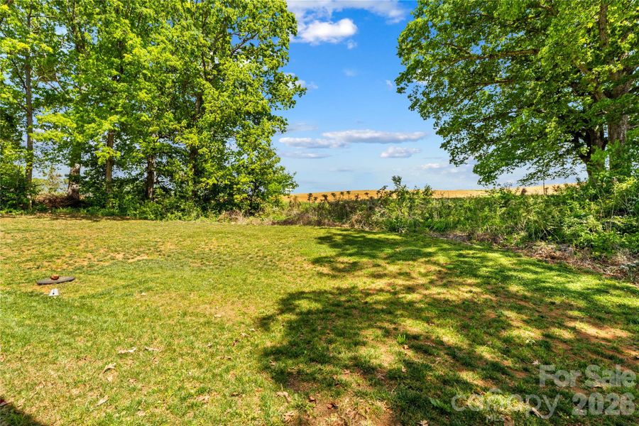 Natural landscape and outdoor views near  in Statesville (Image 30).