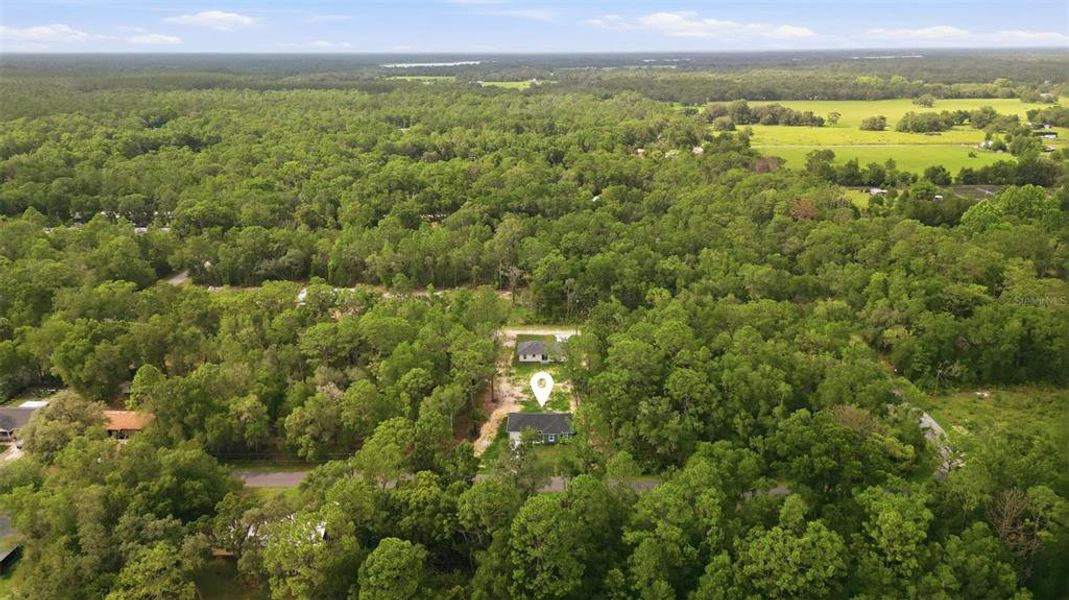 Natural landscape and outdoor views near  in Crystal River (Image 26).