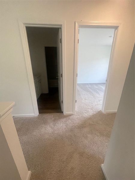 Spacious, unfurnished interior of a new home in Springwood Grove, Central (Image 22). Spacious, unfurnished interior of a new home in Springwood Grove, Central (Image 22).