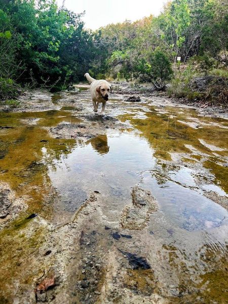 This photo was taken June 1, 2025