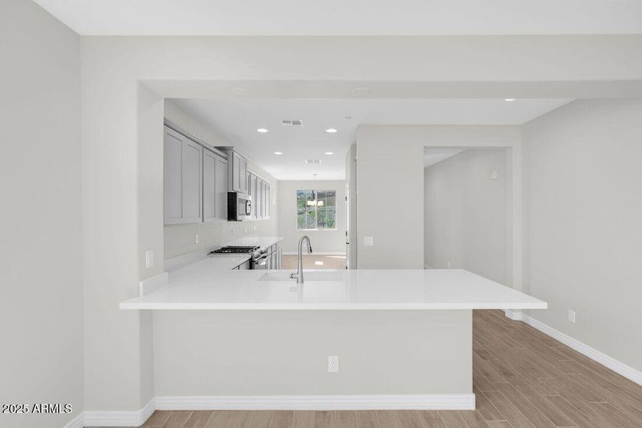 hj-az-phoenix-mystic-discovery-lily-lot-