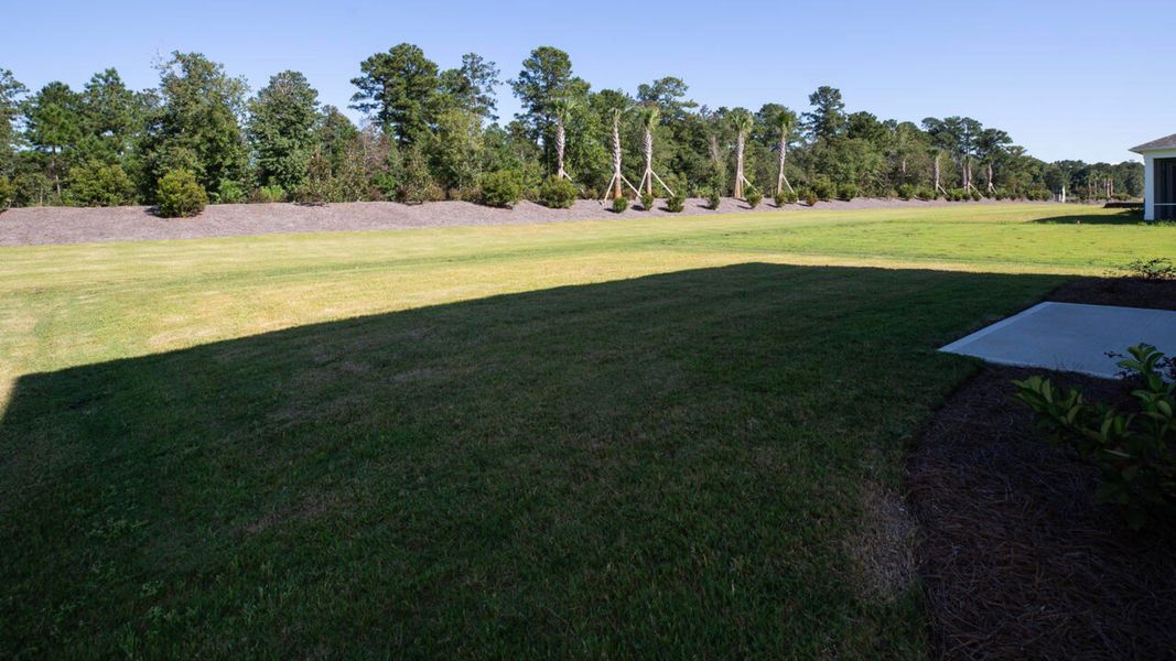 Natural landscape and outdoor views near Indigo Preserve in Leland (Image 36).