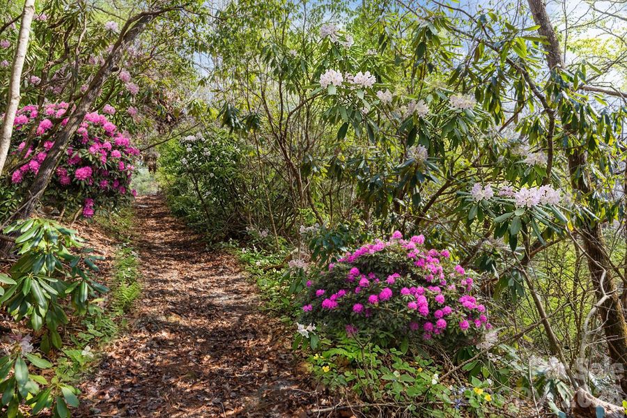 Natural landscape and outdoor views near  in Black Mountain (Image 38).