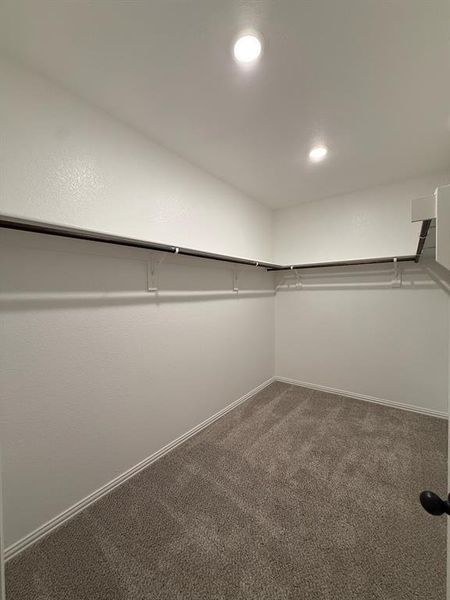 Spacious primary closet with carpet floors Spacious primary closet with carpet floors