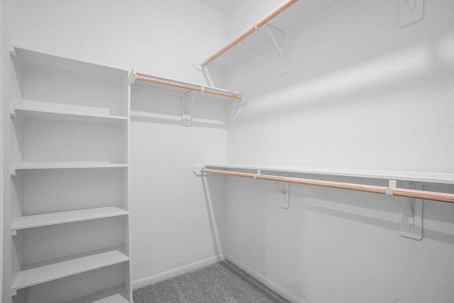 26731 Celestial Cypress Road ~ Ready Now