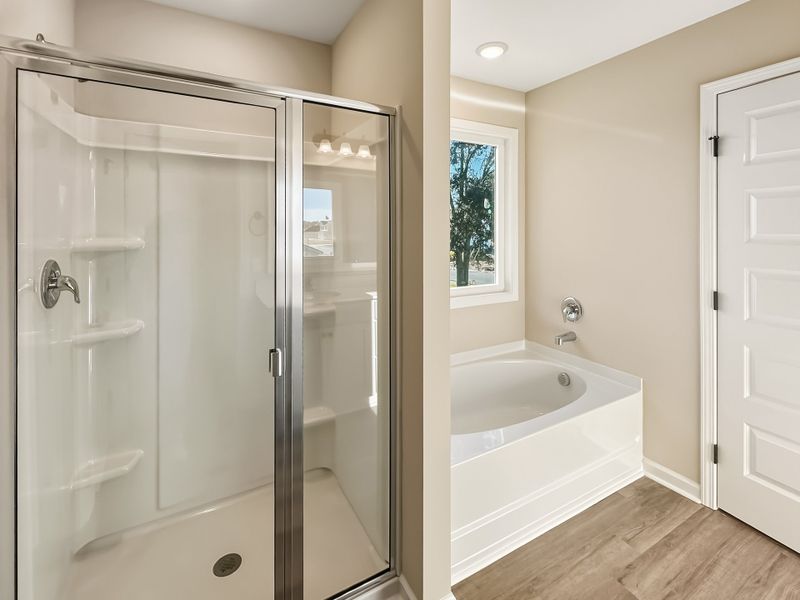 Furnished interior view inside a new home in Tibet Road at Sassafras, Allenhurst (Image 10).