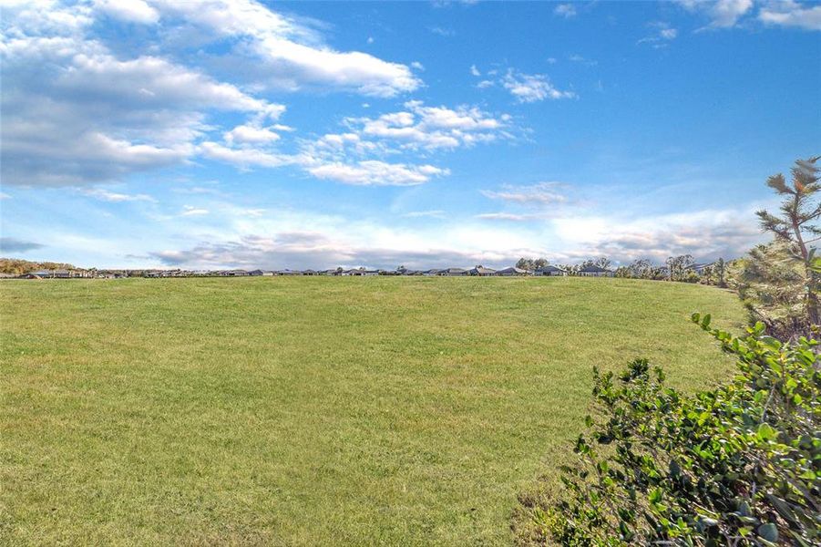 Natural landscape and outdoor views near  in Ocala (Image 44).