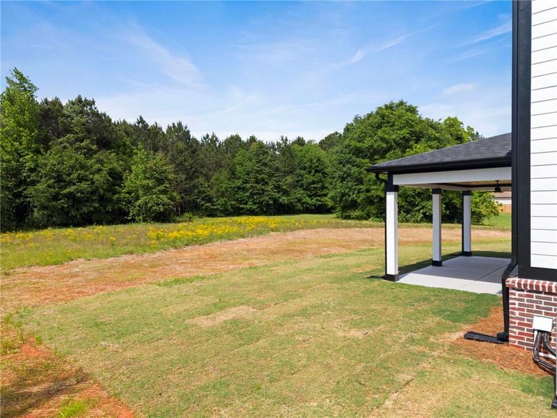 Exterior details and patio area of a home in , Locust Grove (Image 22).