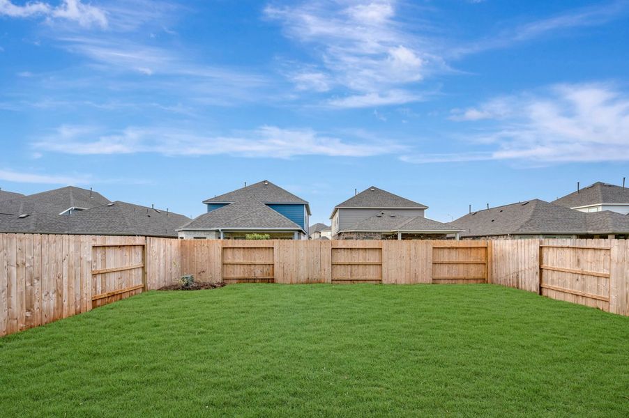 Backyard