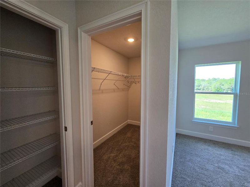 Spacious, unfurnished interior of a new home in Twisted Oaks, Beverly Hills (Image 24). Spacious, unfurnished interior of a new home in Twisted Oaks, Beverly Hills (Image 24).