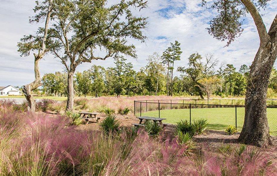 Image 23 of a home in Azalea Ridge at Summers Corner: Arbor Collection. Image 23 of a home in Azalea Ridge at Summers Corner: Arbor Collection.
