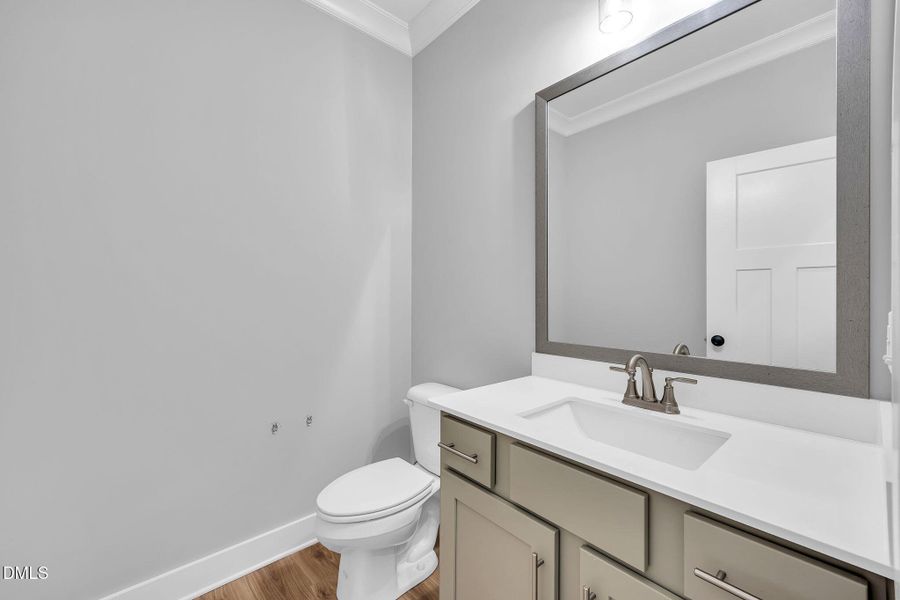 15-web-or-mls-9L1A8116