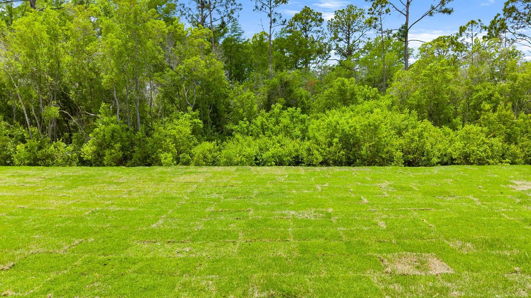 Natural landscape and outdoor views near Breakfast Point East Phase II in Panama City Beach (Image 31). Natural landscape and outdoor views near Breakfast Point East Phase II in Panama City Beach (Image 31).