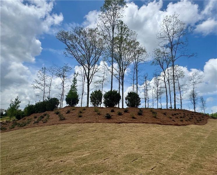 Natural landscape and outdoor views near Eastlyn Crossing in Flowery Branch (Image 17).