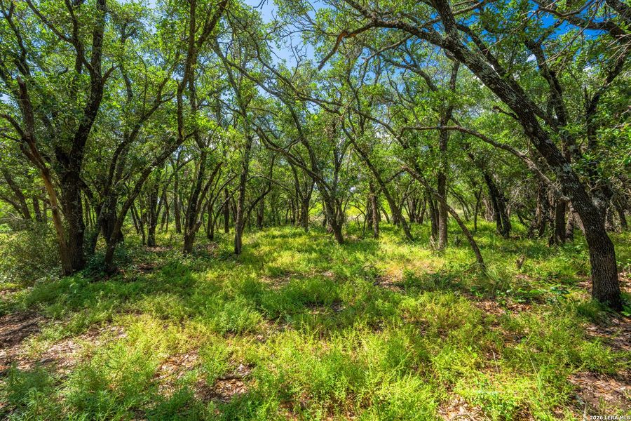 Natural landscape and outdoor views near in Menard (Image 33). Natural landscape and outdoor views near in Menard (Image 33).