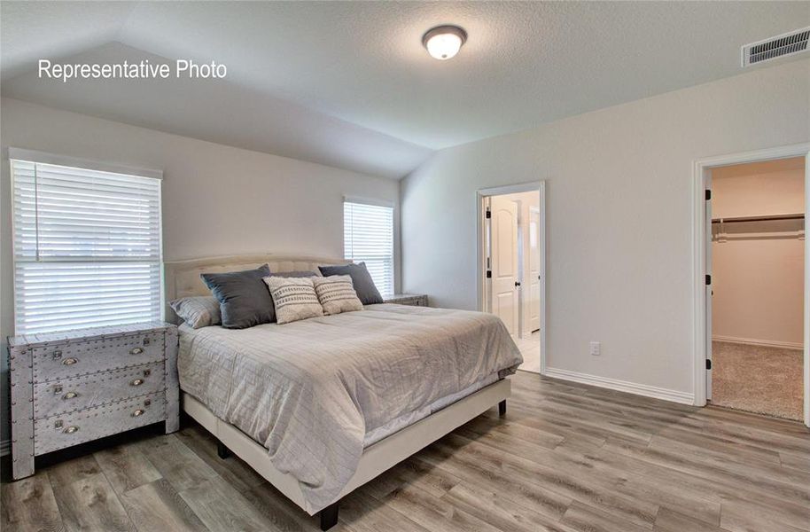 Bedroom with a walk in closet, a closet, hardwood / wood-style floors, and lofted ceiling