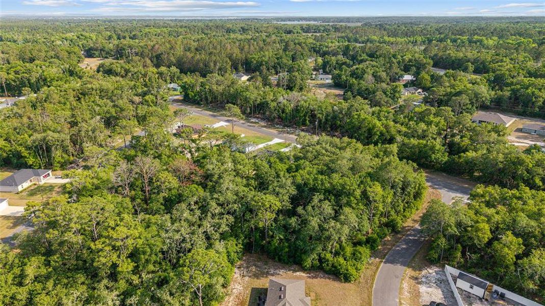 Natural landscape and outdoor views near  in Ocala (Image 31).