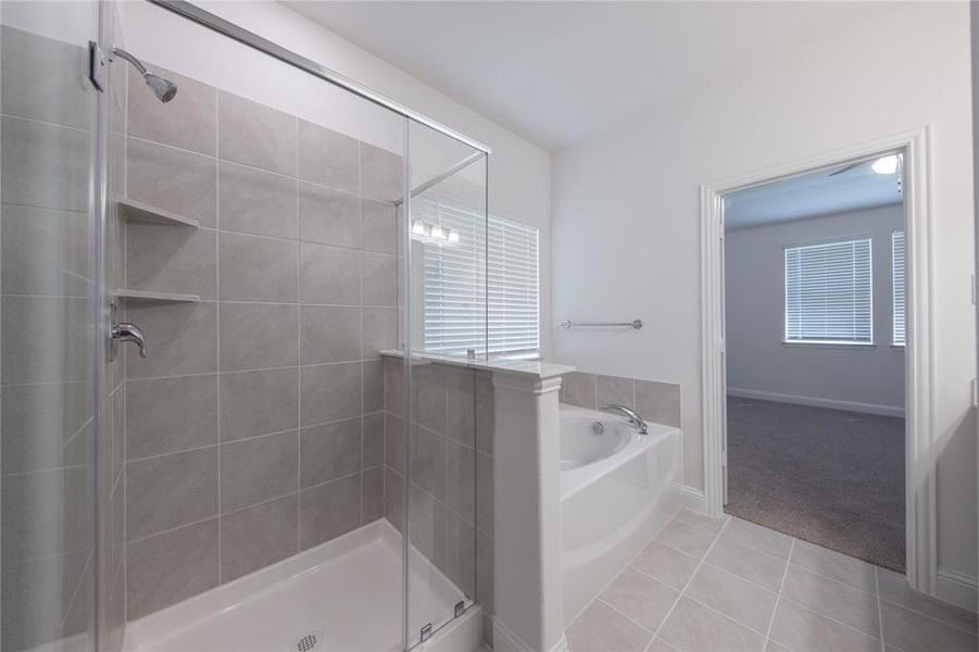 Primary Bathroom Primary Bathroom