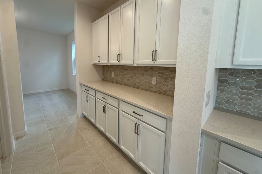 Gourmet Butler's Pantry in Central Florida House