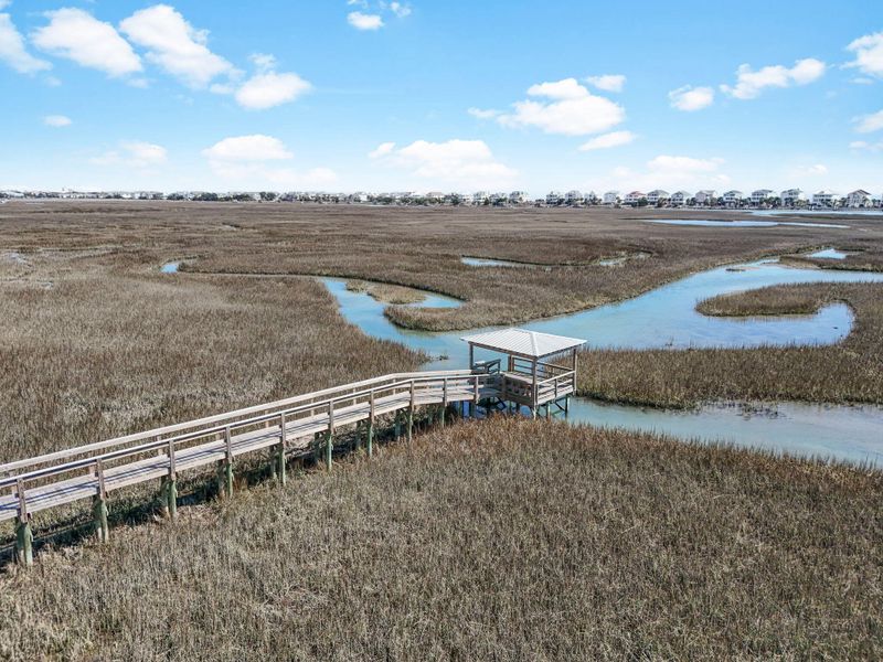 Site preparation for new homesites in , Pawleys Island (Image 44). Site preparation for new homesites in , Pawleys Island (Image 44).