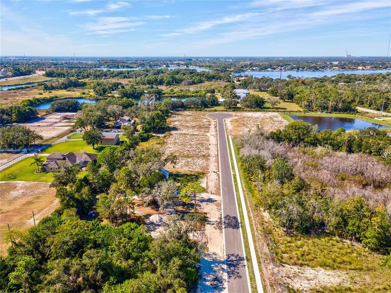 Site preparation for new homesites in , Tarpon Springs (Image 75). Site preparation for new homesites in , Tarpon Springs (Image 75).