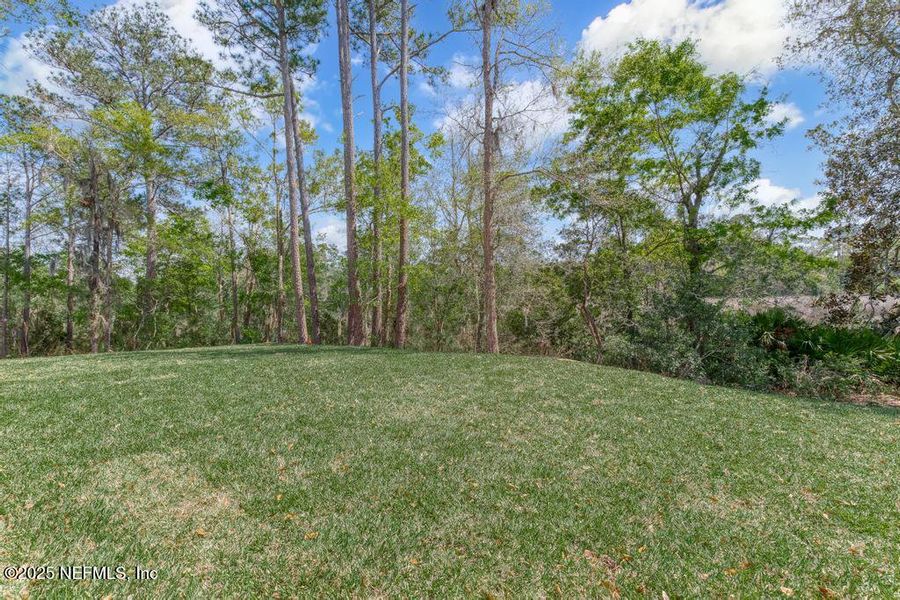 Natural landscape and outdoor views near in Yulee (Image 60). Natural landscape and outdoor views near in Yulee (Image 60).