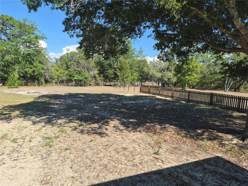 Natural landscape and outdoor views near  in Brooksville (Image 28).