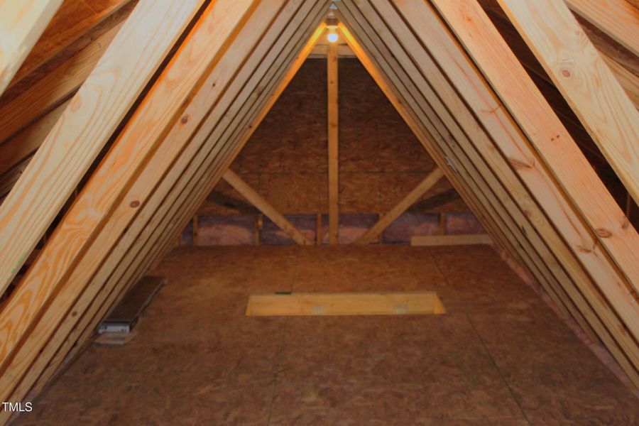 Attic (2)
