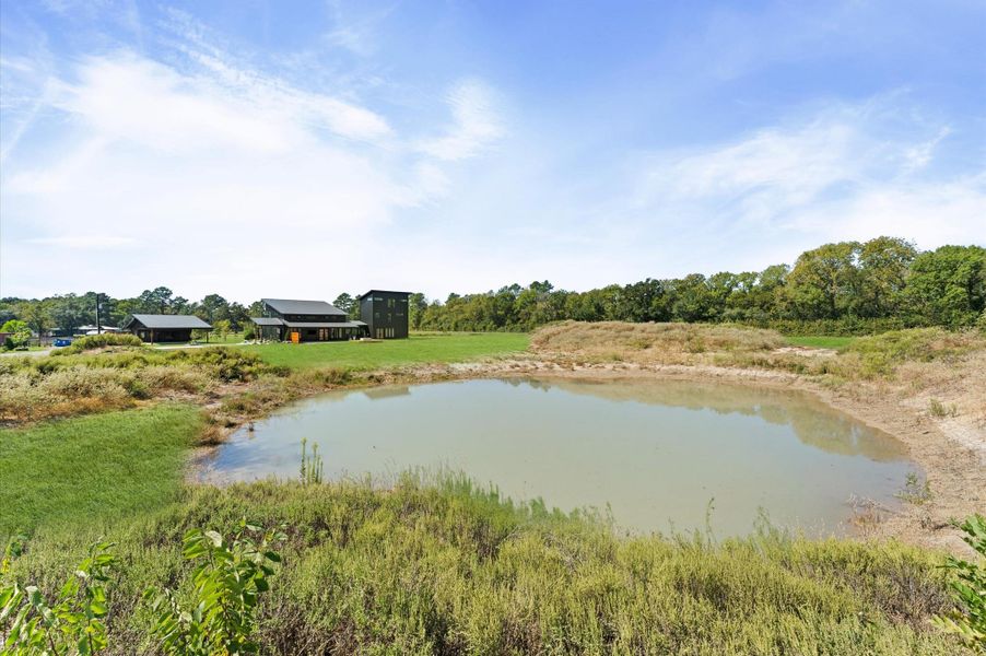 Natural landscape and outdoor views near  in Montgomery (Image 31).