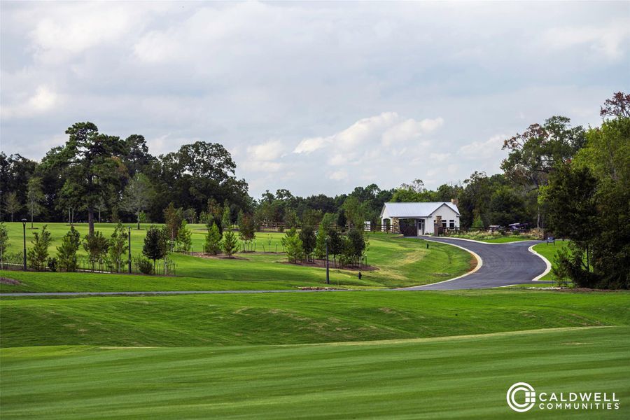 The Chambers Creek community is gated with guards on duty. The Chambers Creek community is gated with guards on duty.