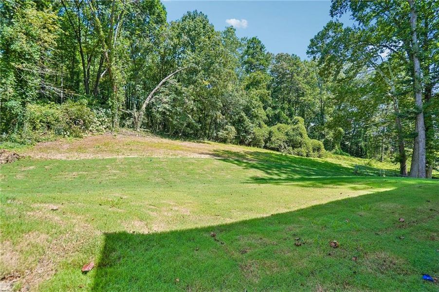 Natural landscape and outdoor views near  in Buford (Image 53).