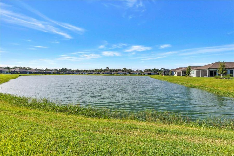 Natural landscape and outdoor views near in Parrish (Image 41). Natural landscape and outdoor views near in Parrish (Image 41).