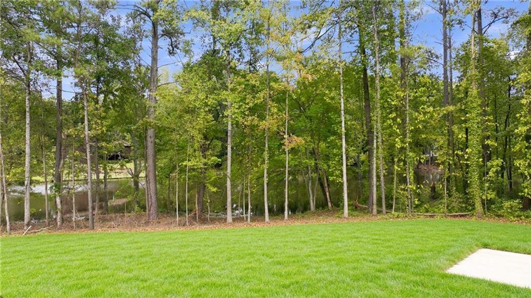 Natural landscape and outdoor views near  in Lawrenceville (Image 41).