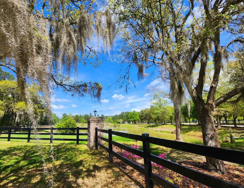 Natural landscape and outdoor views near Rivers Reach in Yemassee (Image 42). Natural landscape and outdoor views near Rivers Reach in Yemassee (Image 42).
