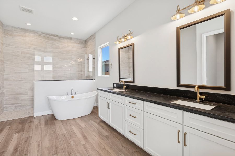 Owner's Bath