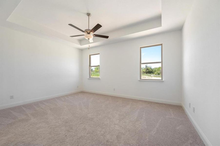 Spare room with light carpet, a healthy amount of sunlight, and a tray ceiling