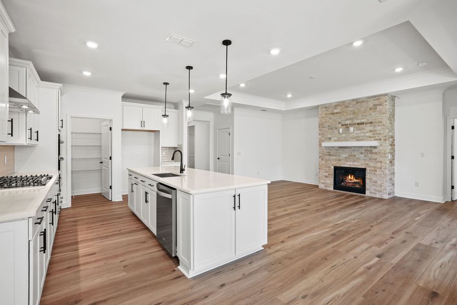 Furnished interior view inside a new home in Carolina Riverside, Belmont (Image 7).