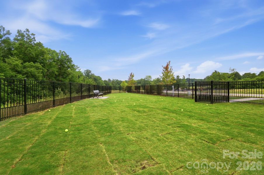 Dog Park Dog Park