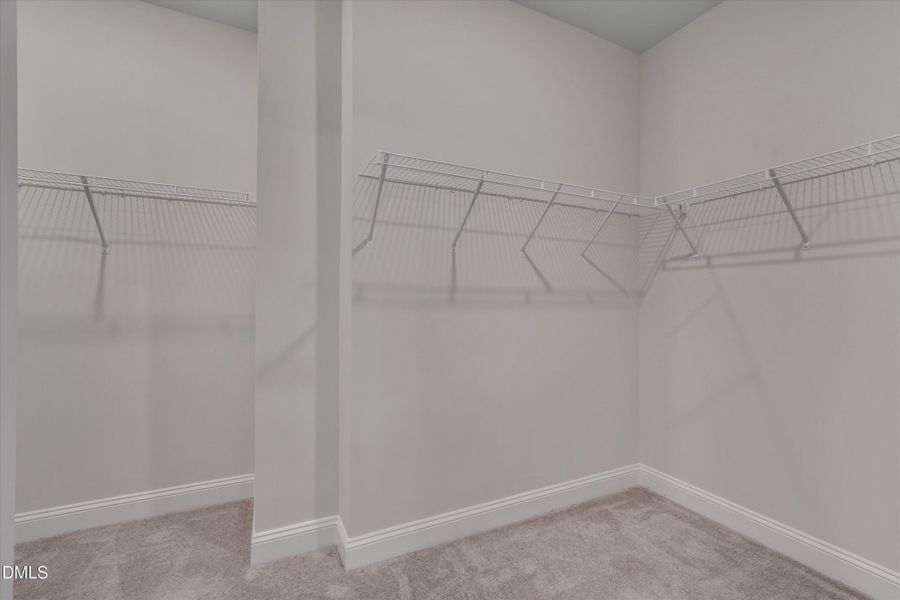 Primary Rm Closet