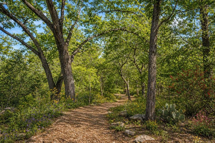 Natural landscape and outdoor views near in Austin (Image 2). Natural landscape and outdoor views near in Austin (Image 2).