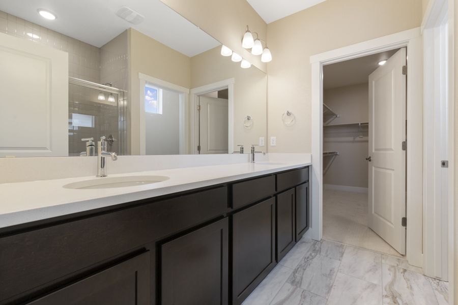 Experience the luxury and design of a modern single-family home's elegant bathroom architecture.