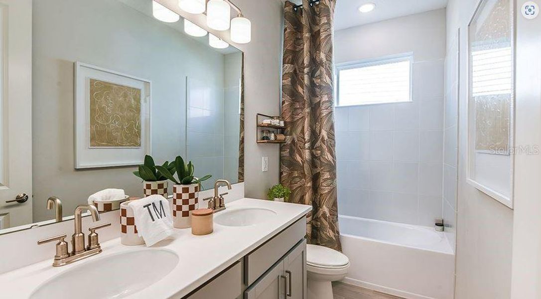 REPRESENTATIVE PHOTOS