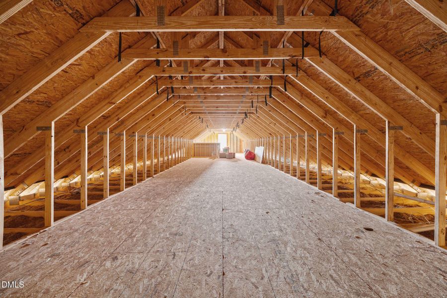 52-web-or-mls-IMG_0331 52-web-or-mls-IMG_0331