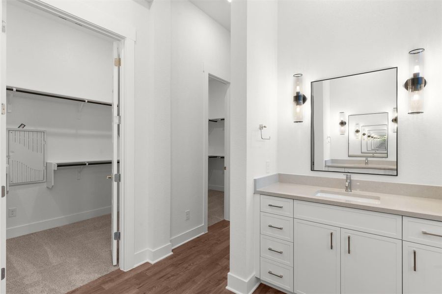 Full bathroom with a walk in closet, vanity, and dark wood-type flooring