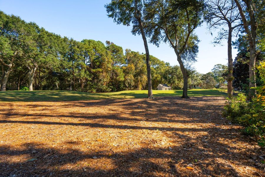 Natural landscape and outdoor views near  in Johns Island (Image 96).