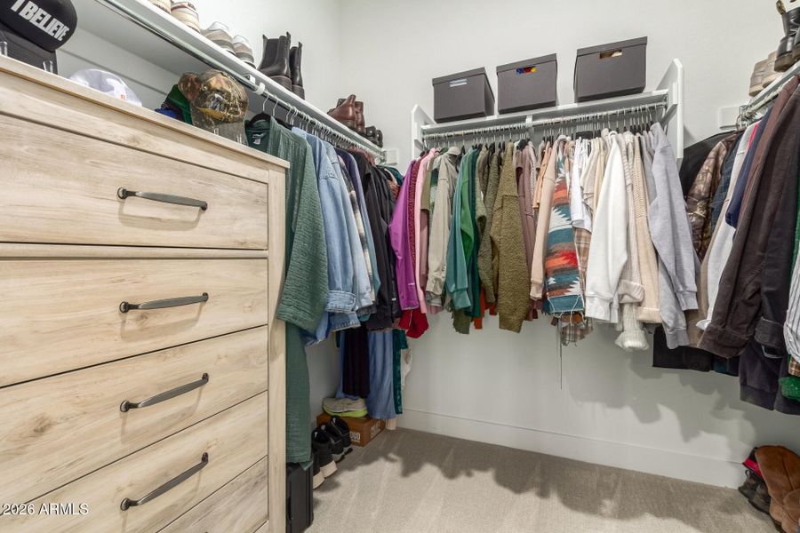 20-Wollemi 20-Wollemi